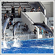 京都水族館