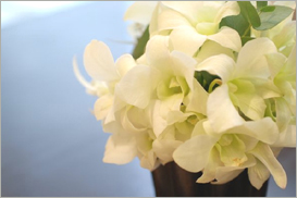 お客様をお迎えする生花
