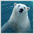 札幌市円山動物園