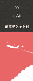 JAL航空チケット付