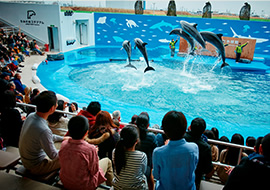 仙台うみの杜水族館
