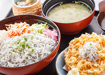 しらす問屋とびっちょ 江の島 本店