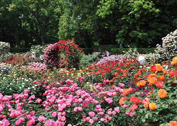 福岡市動植物園