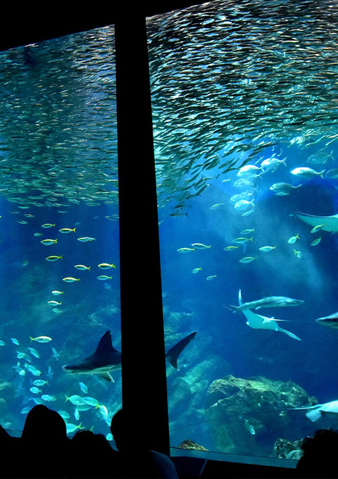 日暮里の街の画像