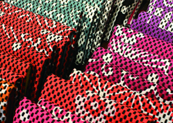 府内 笑心太の画像