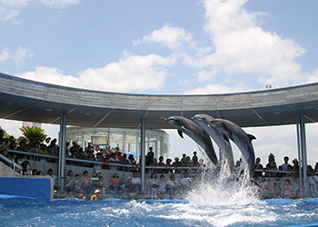 大分マリーンパレス水族館うみたまごの画像