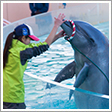 須磨水族館