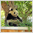 神戸市立王子動物園