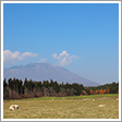 小岩井農場まきば園