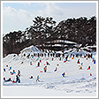 小岩井農場雪祭り