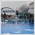 名古屋港水族館