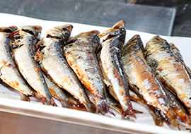 焼き魚(炙り)