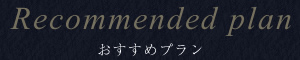 おすすめプラン