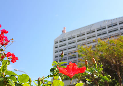 ビジネスに最適な立地。沖縄県庁等官庁街へ徒歩約3分。