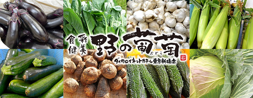 食彩健美 野の葡萄(ぶどう) ダイワロイネットホテル新橋