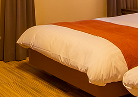 フランスベッド社製のベッド