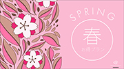 おすすめプラン１イメージ