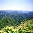 世界遺産 白神山地
