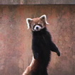 千葉市動物公園