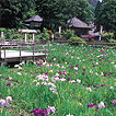 大安禅寺