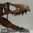 福井県立恐竜博物館