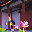 薬師寺