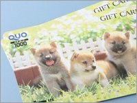 【ホテルグレイスリー新宿開業記念】1000円QUOカードセットプラン♪コンビニ徒歩1分
