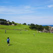 種差海岸