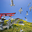 蕪島