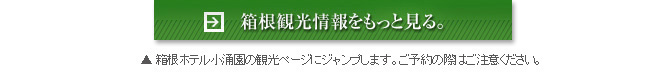 箱根観光情報をもっと見る。
