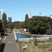 代々木公園