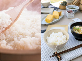 元気の出る朝食!! 栄養満点のおもてなしを!!