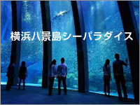 横浜八景島シーパラダイス