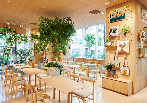 IZAMESHI Dish(GINZA innit内)