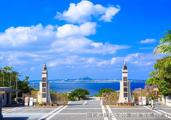 国営沖縄記念公園（海洋博公園）の画像