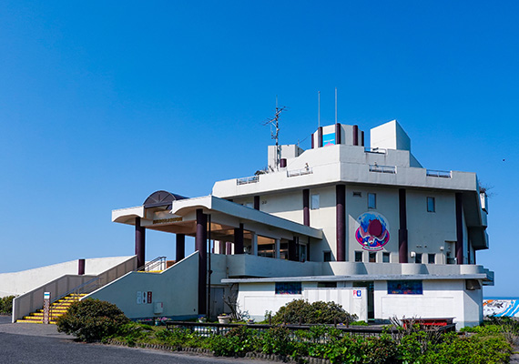 寺泊水族博物館のイメージ