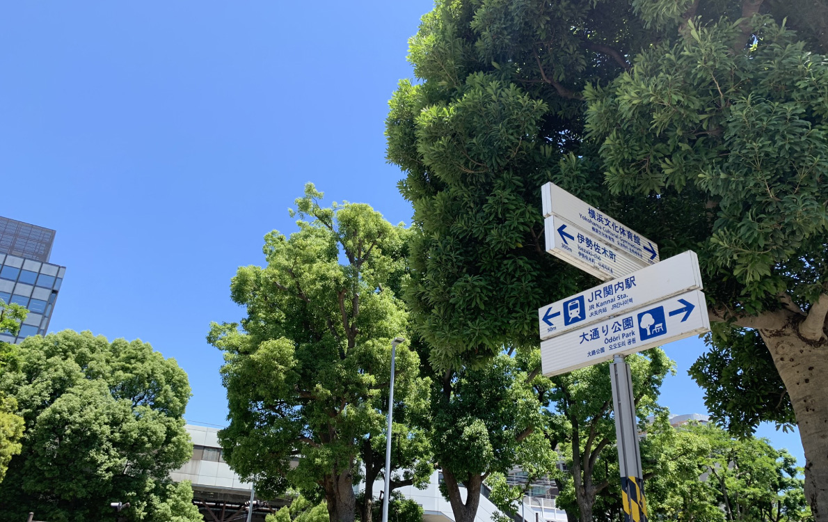 立地画像